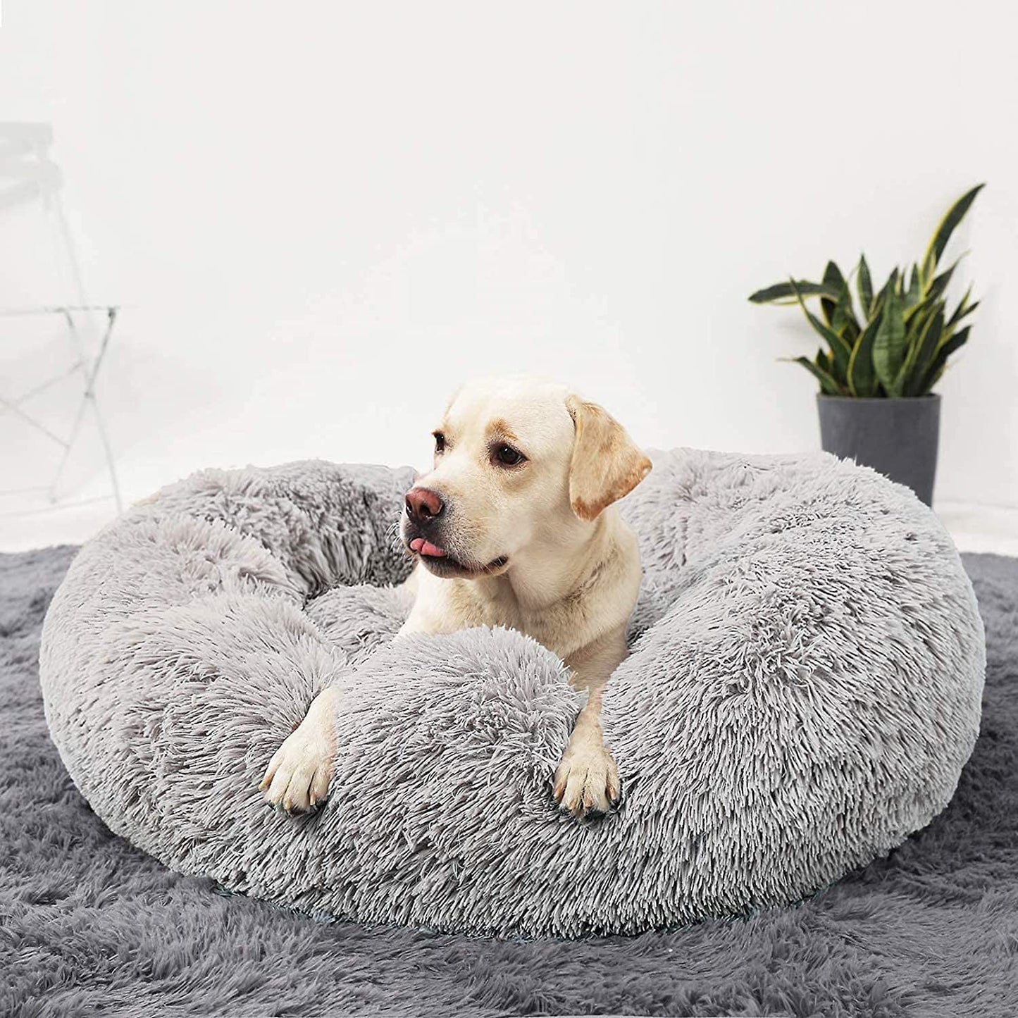Calming Donut Dog Bed for Medium to Large Breeds, 30-Inch